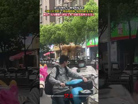 堪比電影鏡頭一幕 一時間竟然分不清誰才是主角 意外 萬萬沒想到 社會百態 amazing shorts サムネイル