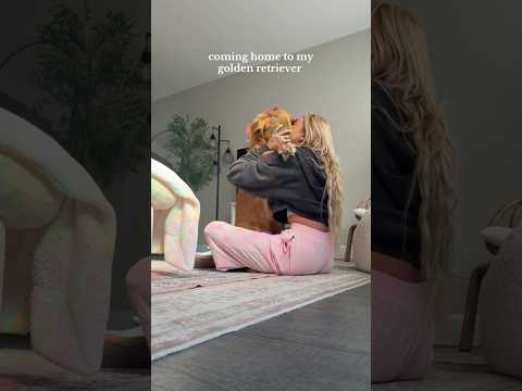 coming home to my golden retriever🥵goldenretreivers dog pup… サムネイル
