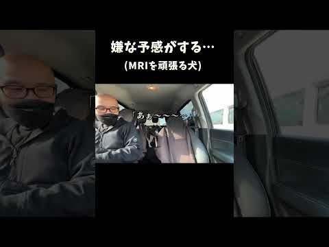 嫌な予感がする… サムネイル