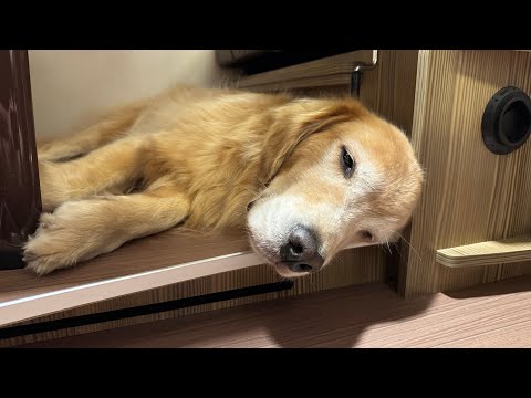 久しぶり深夜に雑談ライブ配信 サムネイル