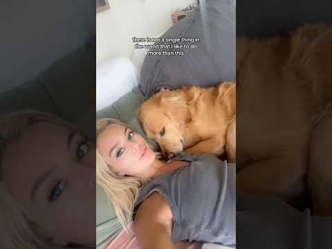 coming home to my golden retriever🥵goldenretreivers dog pup… サムネイル