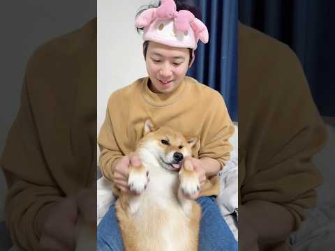 金曜日。今日終わったら休日♡ 柴犬 shorts サムネイル