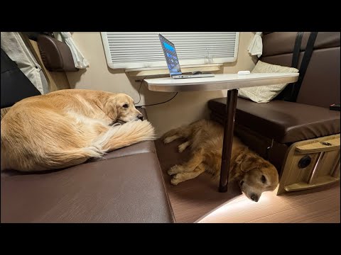 【放送事故】キャンピングカーから久しぶりに配信！ サムネイル