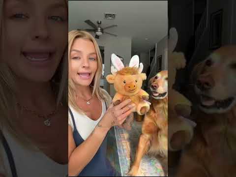 Bikini Try-On Haul 005 :| 4K Transparent Lingerie & See-Thr… サムネイル