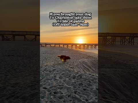 You won’t regret it 😉 サムネイル