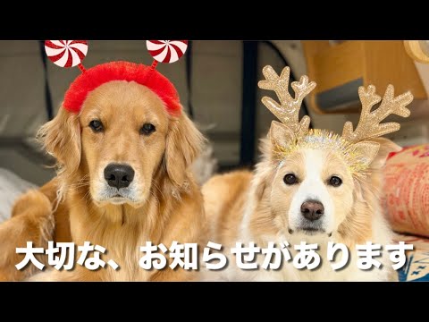 皆様に大切なお知らせがあります!! サムネイル