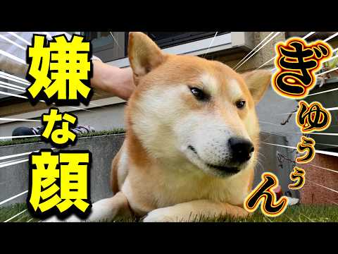 気持ちいいはずなのに顔が変なんだが・・・ サムネイル