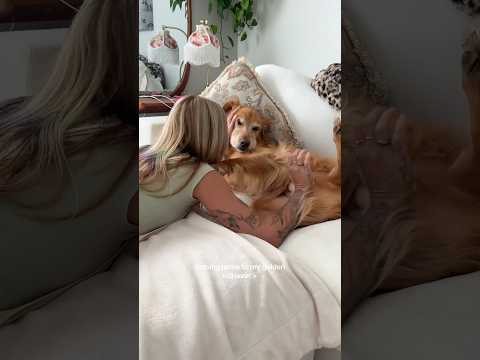 coming home to my golden retriever🥵 goldenretreiver dog ind…