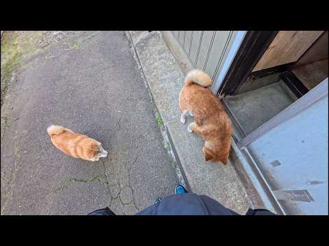 入りやすいように開けておいたのに・・ サムネイル