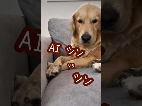 AIには出来ないこと ゴールデンレトリバー 大型犬のいる生活 大型犬と子供 goldenretreiver サムネイル