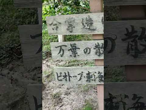 【東山動植物園】美しい植物や貴重な建物が見れる！東山動植物園の植物園🍃　shorts サムネイル