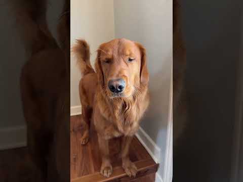 It wasn’t even plugged in 😂 サムネイル