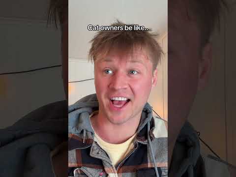 Accurate or out of line? サムネイル