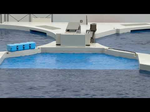 ランちゃん トレーナーさんたちにアピール☺️ 須磨シーワールドにて　2025年12月25日 サムネイル