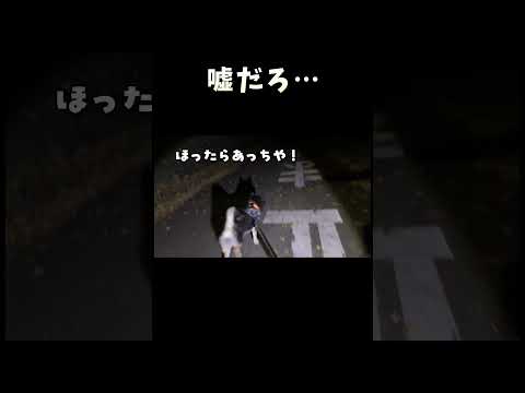 嘘だろ サムネイル