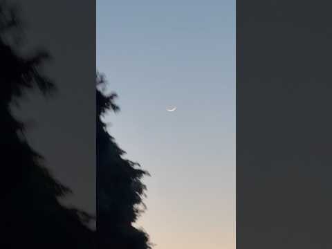 shorts 暮れゆく空に金星と二日月🌙　圏央道にて　2026年5月18日