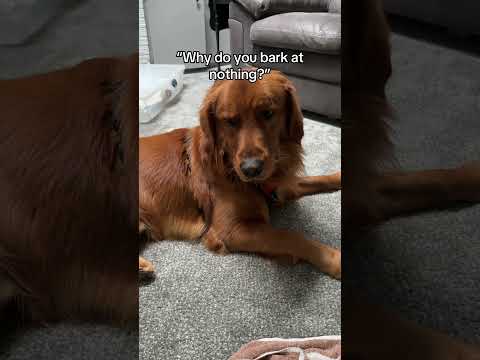 I mean he has a point 🤷‍♂️ サムネイル