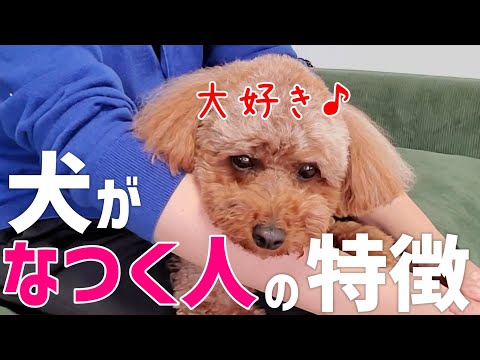 【必見】実はこんな人が犬に懐かれる特徴を持ってます！ サムネイル