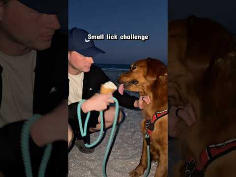 Smack lick challenge