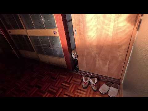 隙間はこじ開け玄関の隅まで追い詰め確実に回収していく伝説の取り立て屋 サムネイル