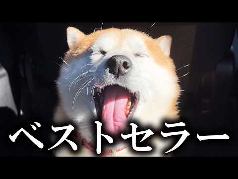 らんまるの本がAmazonベストセラーになりました！！！ サムネイル