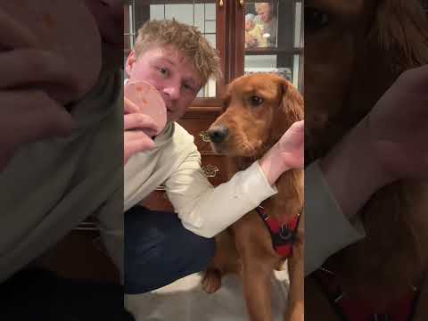 I am currently on the toilet 🤦‍♂️ サムネイル