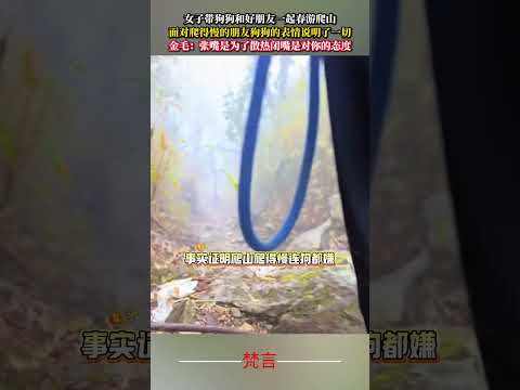 女子帶著狗狗和好朋友一起春遊爬山 面對爬得慢的朋友狗狗的表情說明了一切 狗狗 金毛  有趣 搞笑 可愛 dog lau… サムネイル