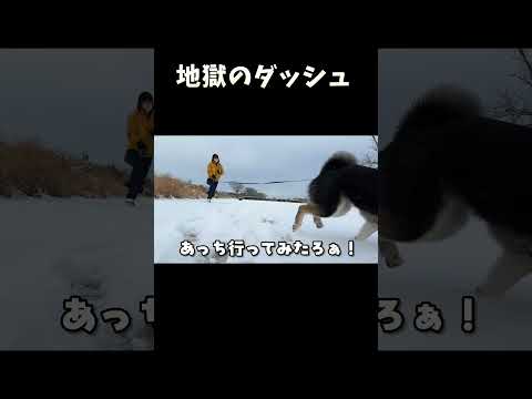 地獄のダッシュ サムネイル
