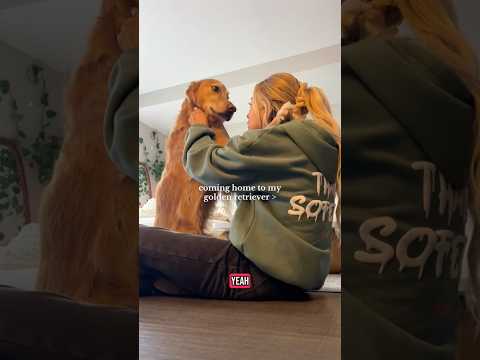 coming home to my golden retriever🥵 goldenretreiver dog ind… サムネイル