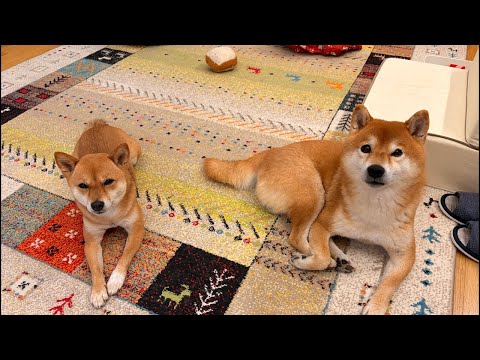 クリスマス会でもらった物をあけていこう🎁🎄🍭 サムネイル