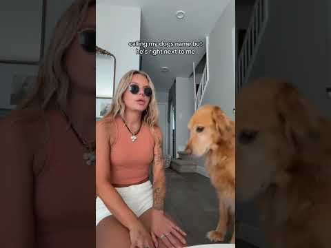 coming home to my golden retriever❤️india retreiver dog pup… サムネイル