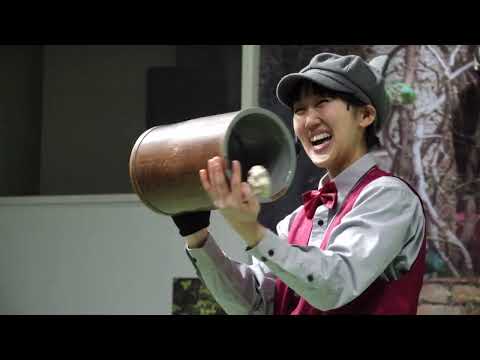 なかなか見れない猫によるショー ザ・キャッツ　那須どうぶつ王国にて　2026年1月30日　C0009 サムネイル