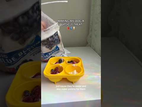 dog-tor coby to rescue🛟goldenpup puppy goldenpupppy dogbree… サムネイル