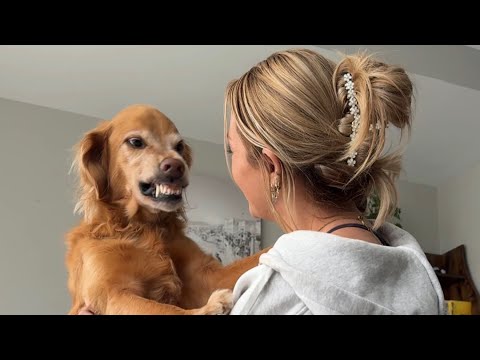 This 2025 fashion lookbook showcases mesh dresses lightweig… サムネイル