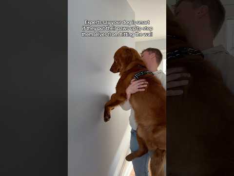 It can’t be true サムネイル