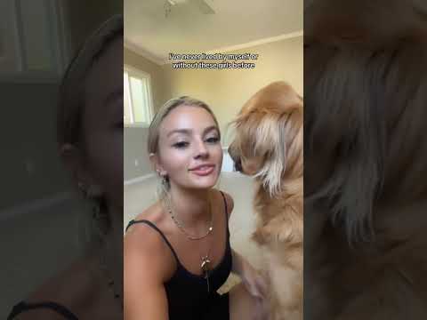 coming home to my golden retriever❤️india retreiver dog pup… サムネイル