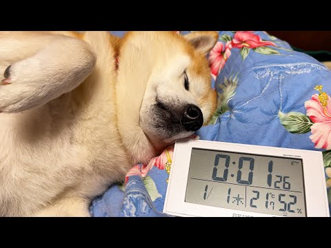 2026年になった瞬間、らんまるがしていたこと。【年越し密着取材】 サムネイル