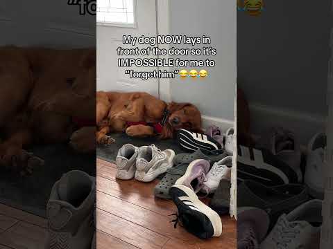 I guess I’ll just use the back door 😂 サムネイル