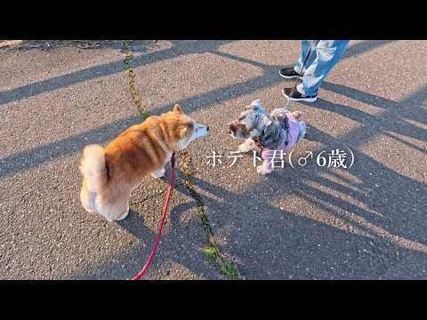 2026年4月30日(木) 仲良くなれるかな？Newフレンドポテト君 サムネイル