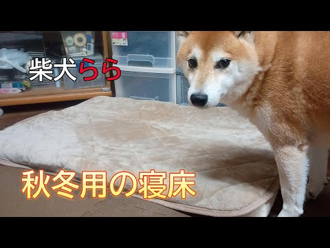 秋冬用の寝床 サムネイル