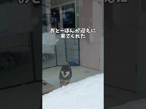 ガラス越しなのに飼い主がわかった理由は…。 サムネイル