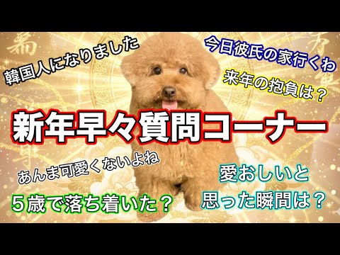 視聴者さんからの質問に答えまくる！【質問コーナー】 サムネイル