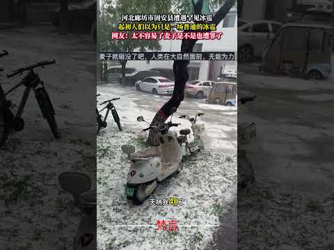 河北廊坊市固安縣遭遇罕見冰雹 大自然 nature shorts