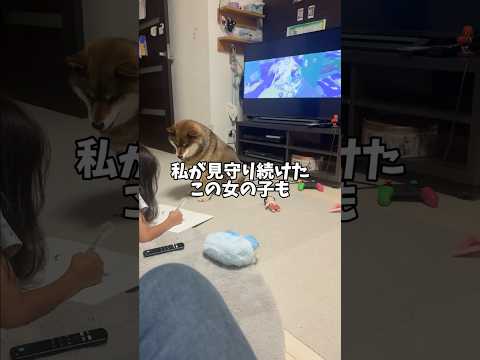 子供成長を見守る柴犬・・・でしたが・・・ サムネイル