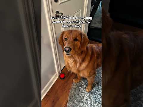 It's always an emergency サムネイル