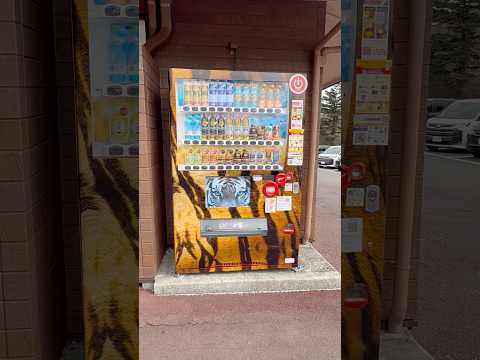 shorts 富士サファリパークの自動販売機　2026年2月20日 サムネイル