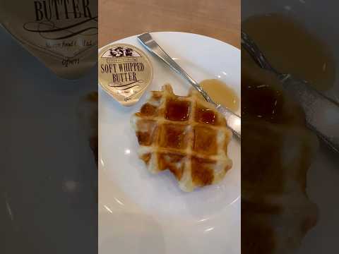 shorts セルフで焼き上げるクロッフル(クロワッサンワッフル)がサクサク美味しい😋　ホテルグリーンタワーのランチビ… サムネイル