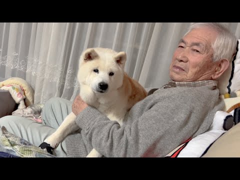 強面過ぎて赤ちゃんにはギャン泣きされてしまうので大好きな柴犬を抱っこして慰めてもらうじいちゃん サムネイル