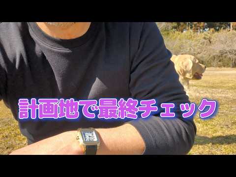 計画地で最終チェック。ゴールデンレトリバーティト サムネイル