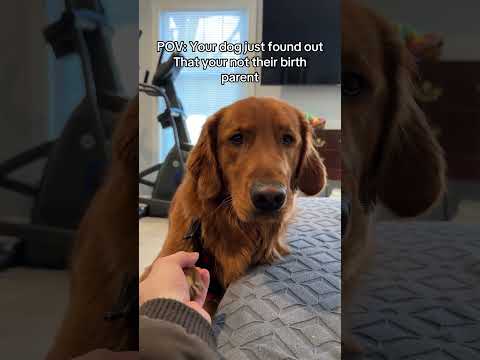 Tough conversation 😬 サムネイル